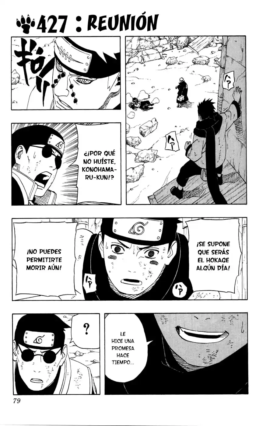 Naruto Capitulo 427 página 1