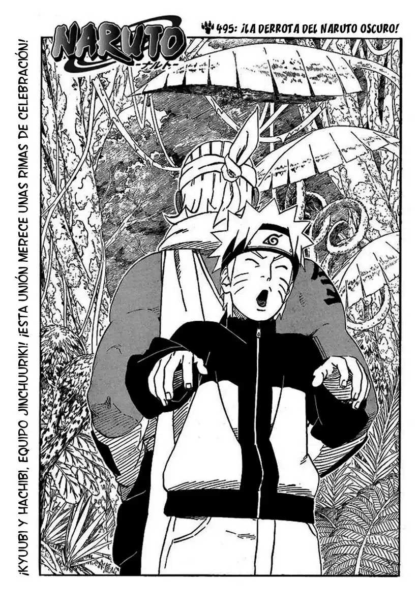 Naruto Capitulo 495 página 1