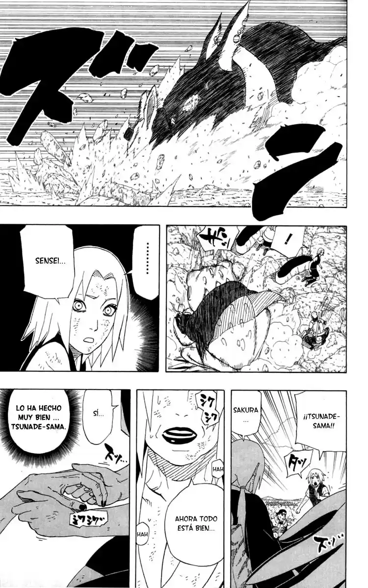 Naruto Capitulo 431 página 5