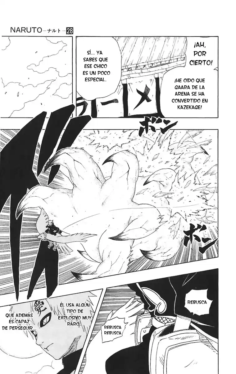 Naruto Capitulo 248 página 13