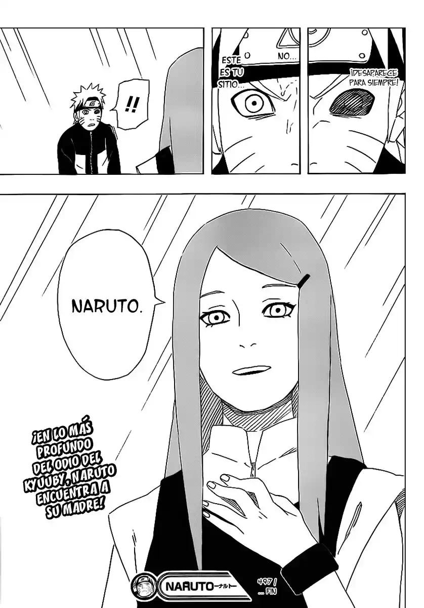 Naruto Capitulo 497 página 15