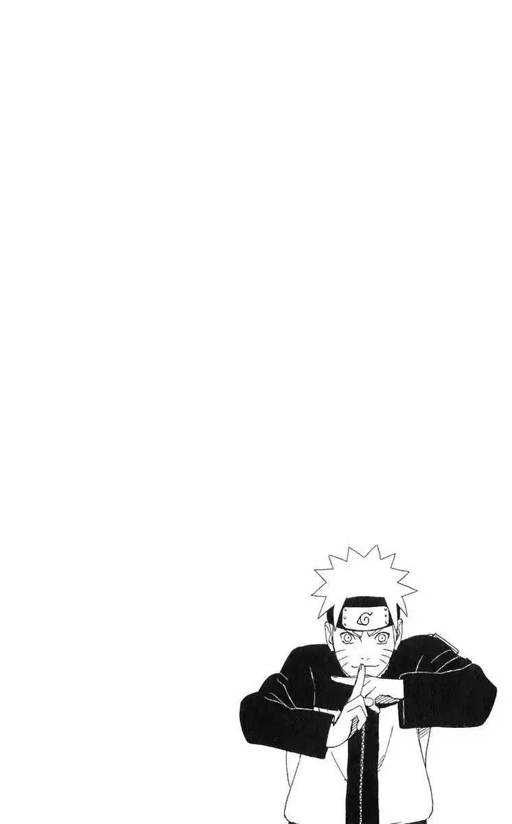 Naruto Capitulo 317 página 3