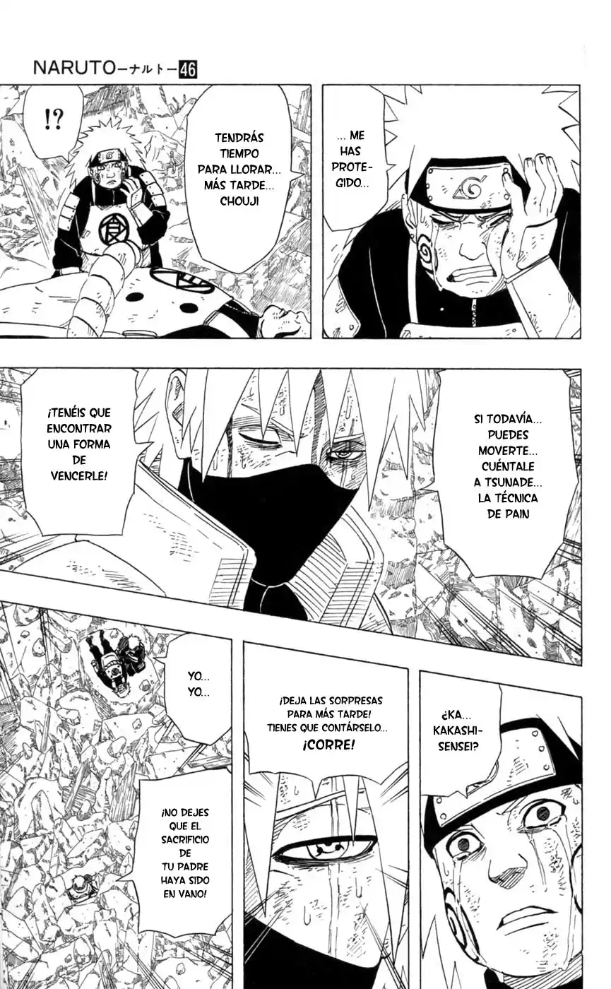 Naruto Capitulo 424 página 13