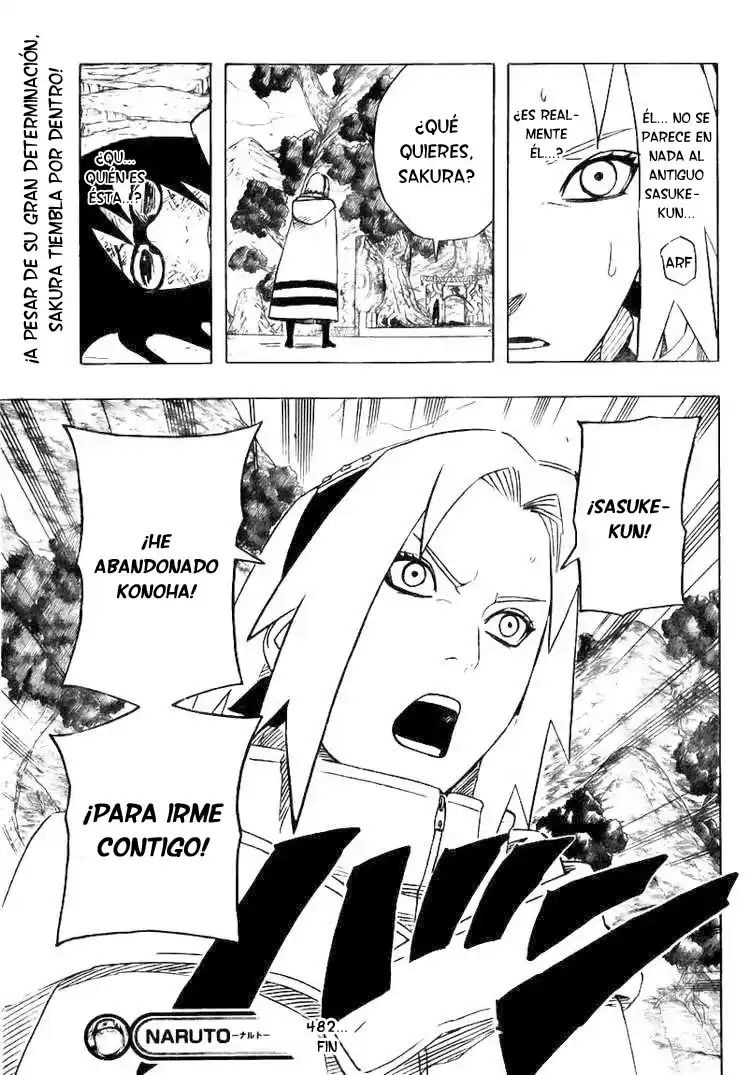 Naruto Capitulo 482 página 17