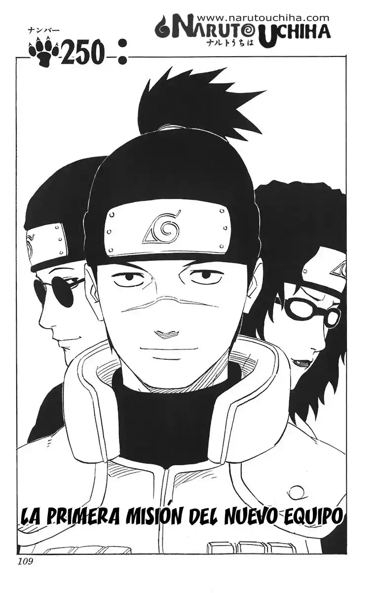 Naruto Capitulo 250 página 2