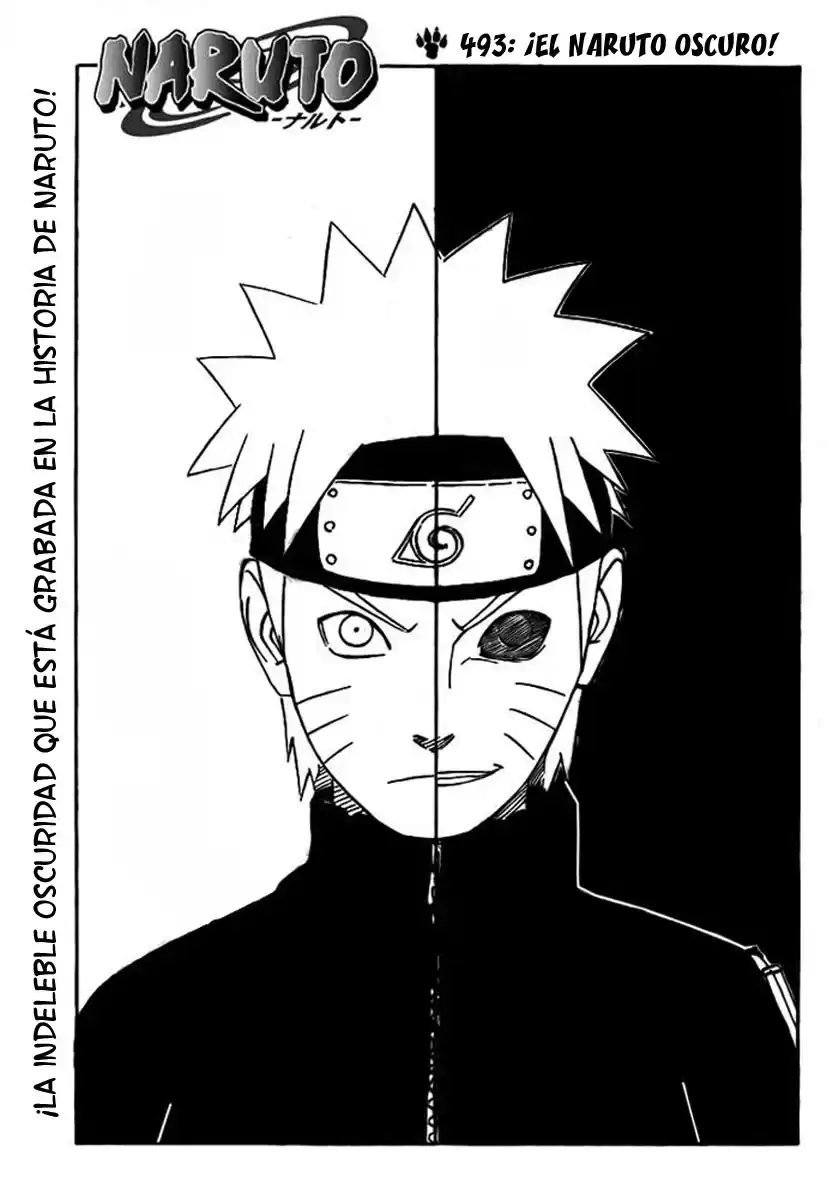 Naruto Capitulo 493 página 1