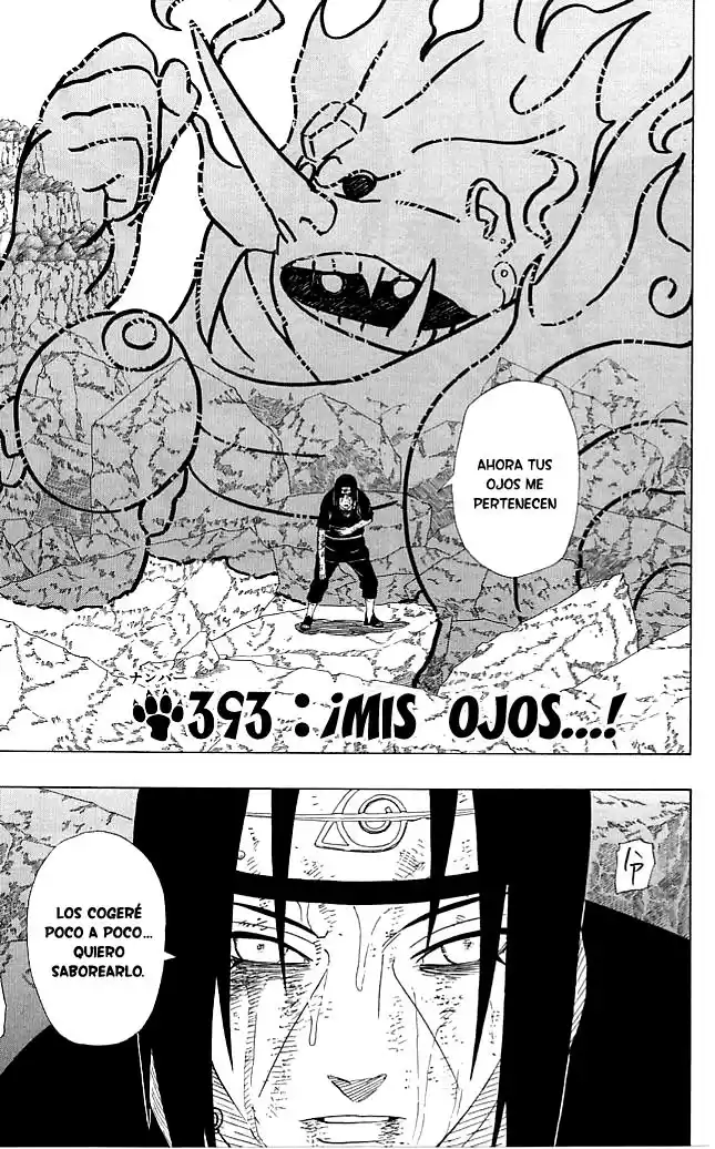 Naruto Capitulo 393 página 3