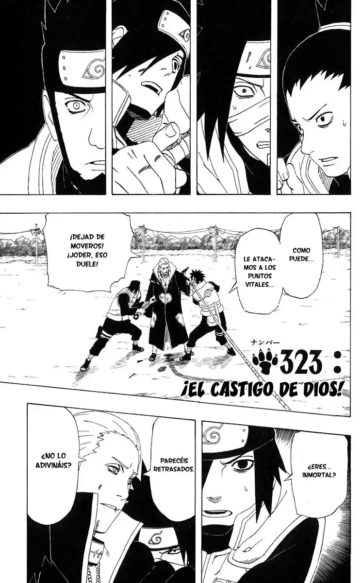 Naruto Capitulo 323 página 1