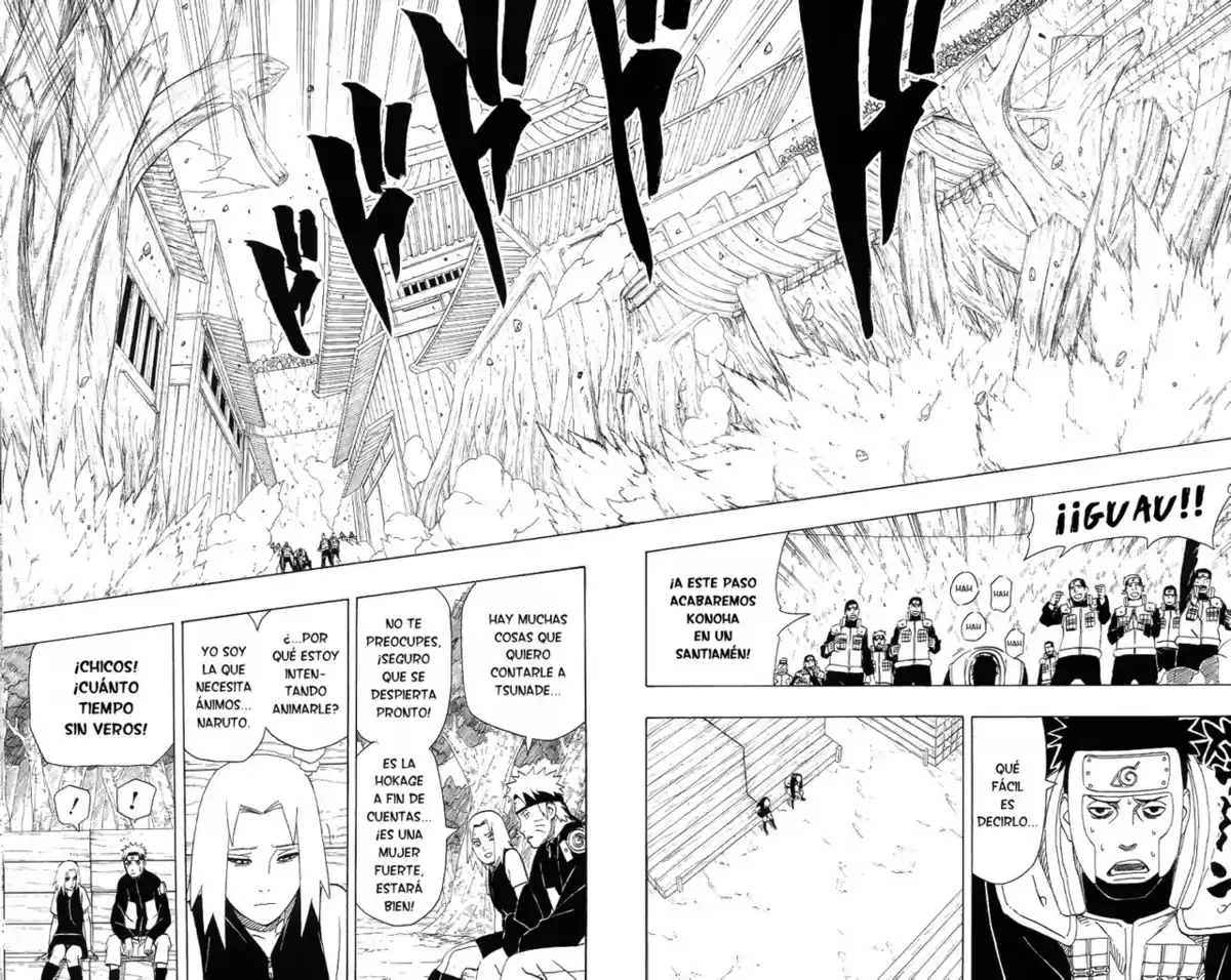 Naruto Capitulo 451 página 2