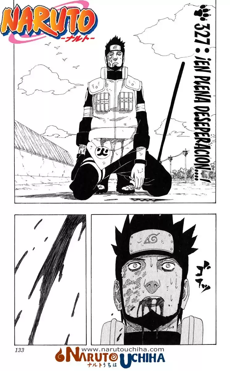 Naruto Capitulo 327 página 1