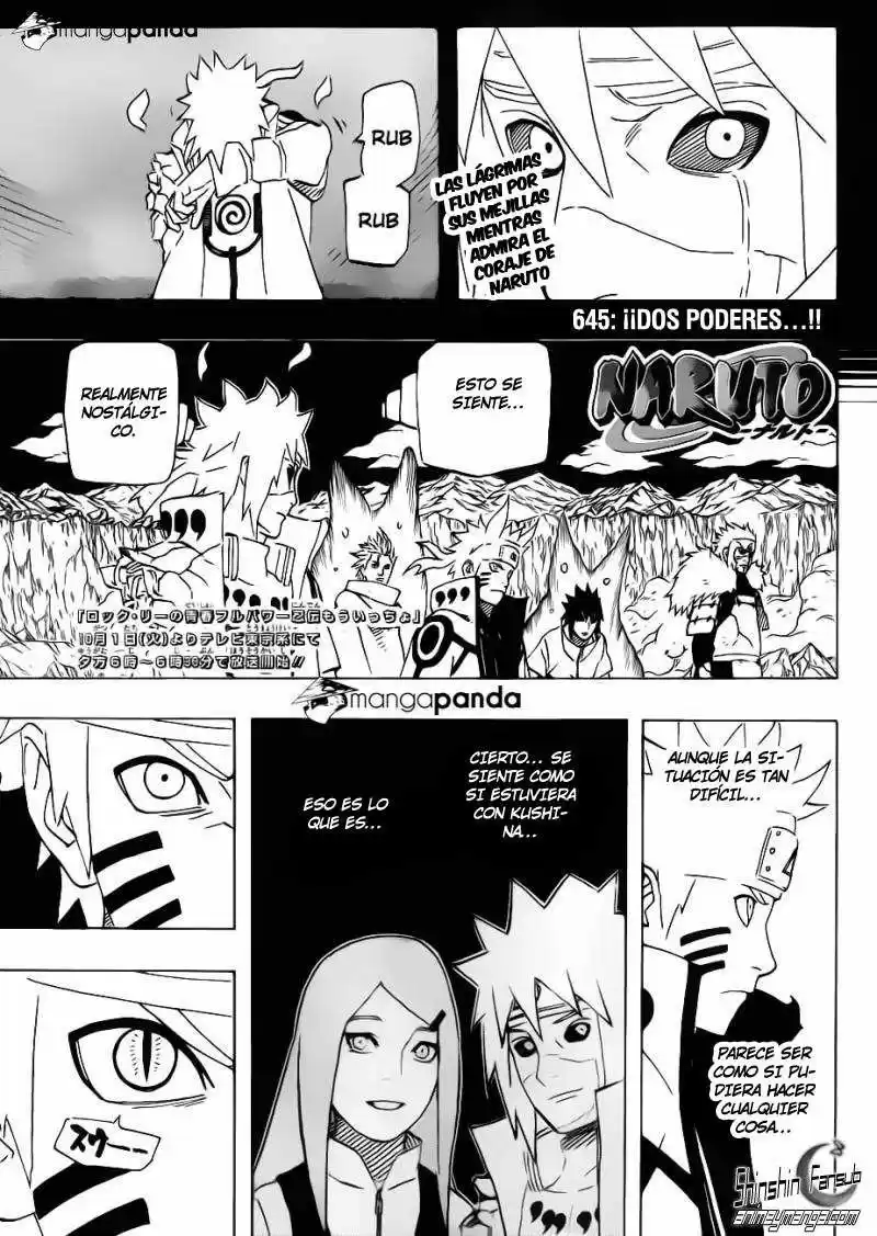 Naruto Capitulo 645 página 3