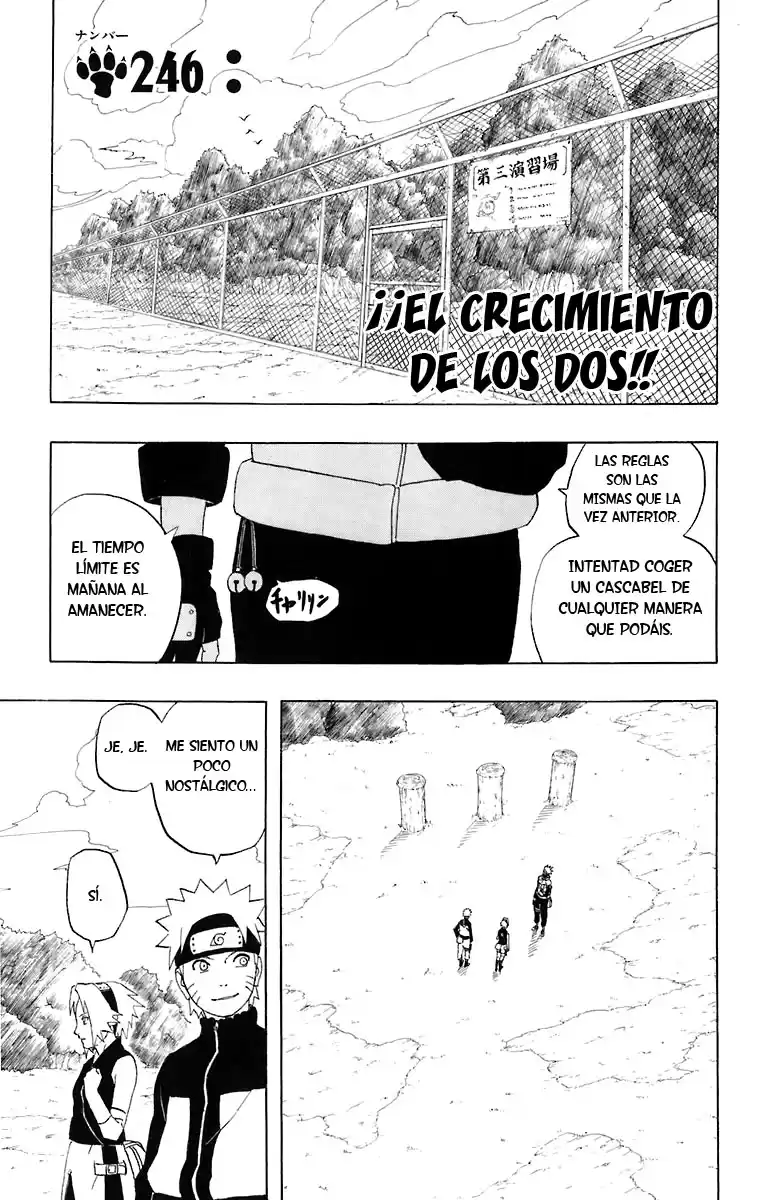 Naruto Capitulo 246 página 2