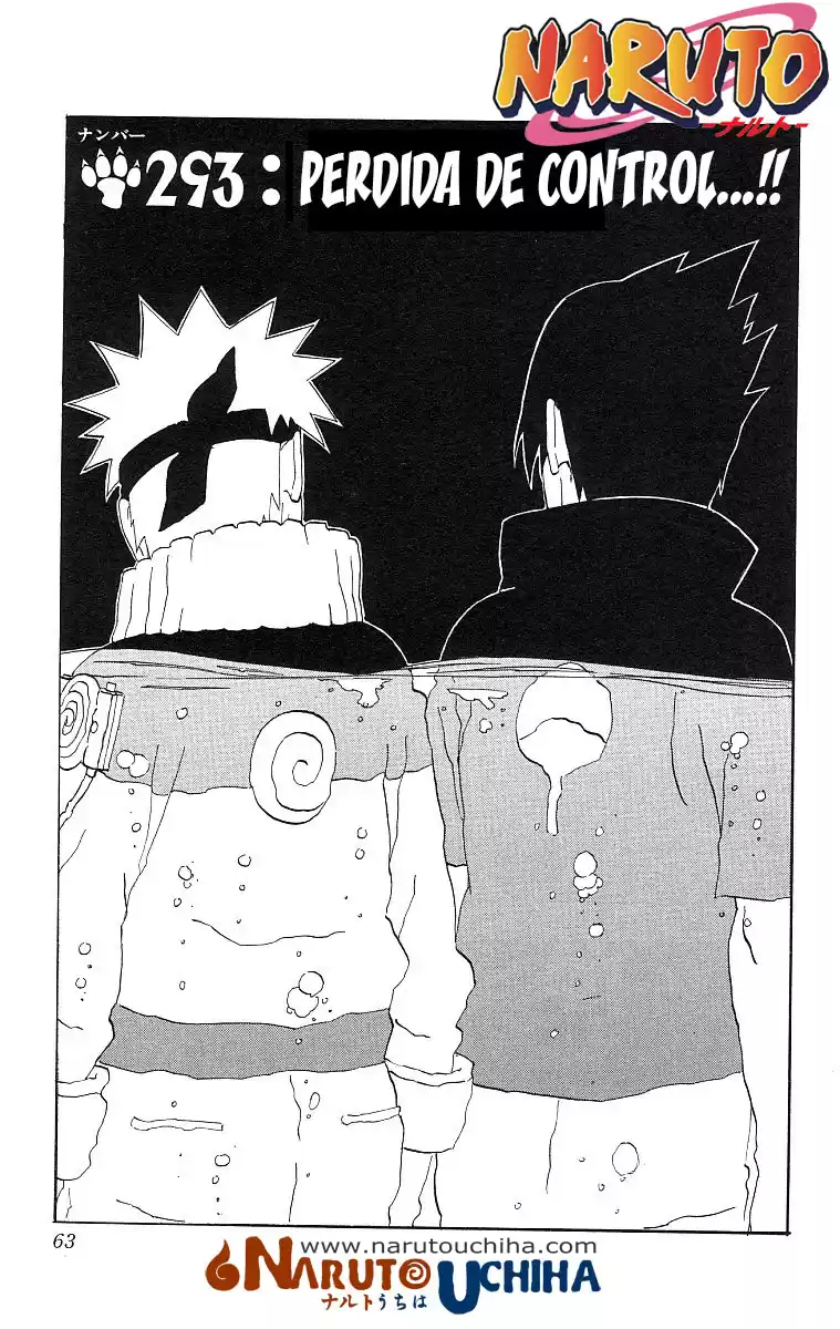 Naruto Capitulo 293 página 1