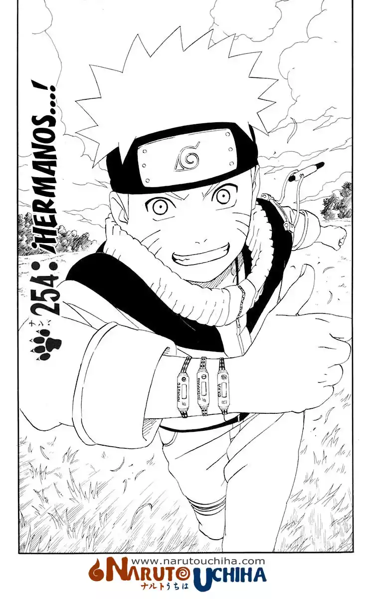 Naruto Capitulo 254 página 1