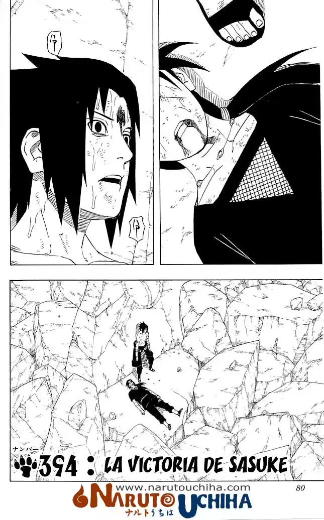 Naruto Capitulo 394 página 2