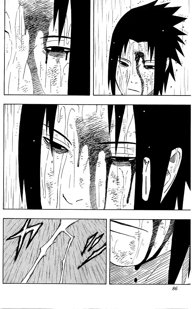 Naruto Capitulo 394 página 8