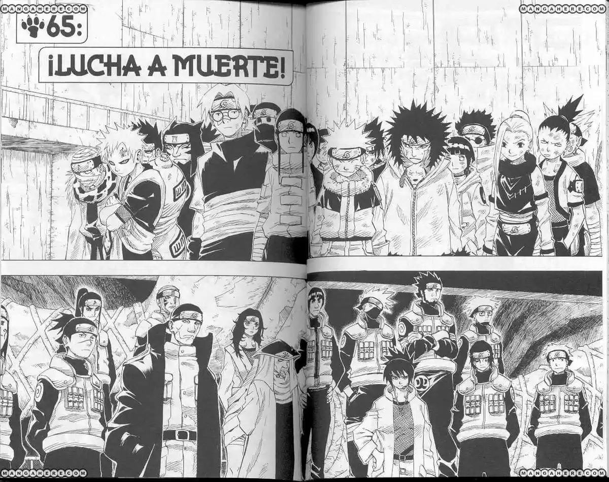 Naruto Capitulo 65 página 2