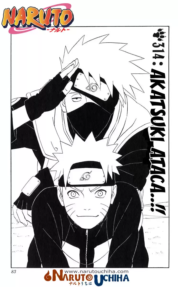 Naruto Capitulo 314 página 1