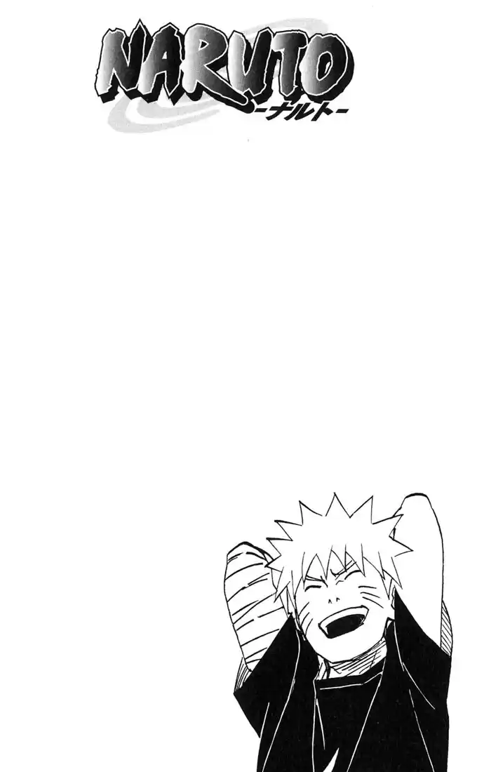 Naruto Capitulo 350 página 2