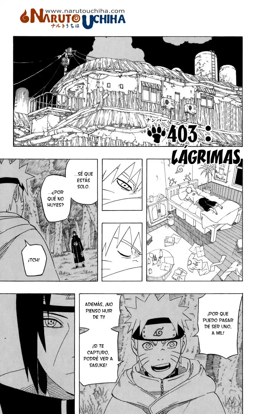 Naruto Capitulo 403 página 1