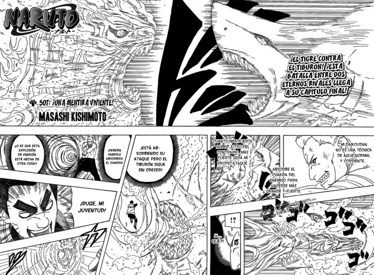 Naruto Capitulo 507 página 1