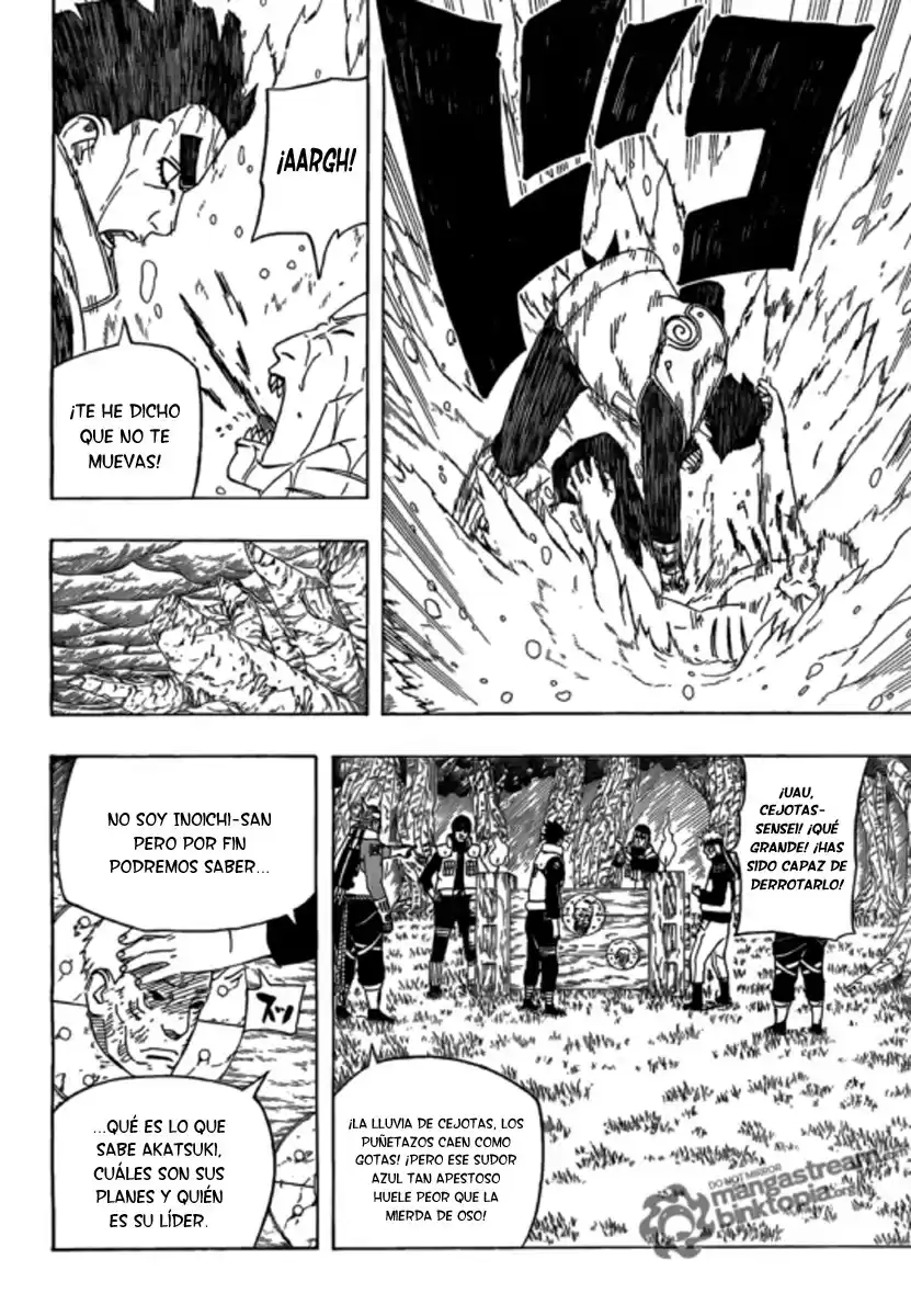 Naruto Capitulo 507 página 5