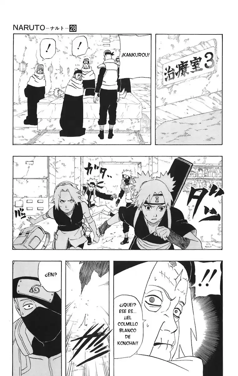 Naruto Capitulo 253 página 12