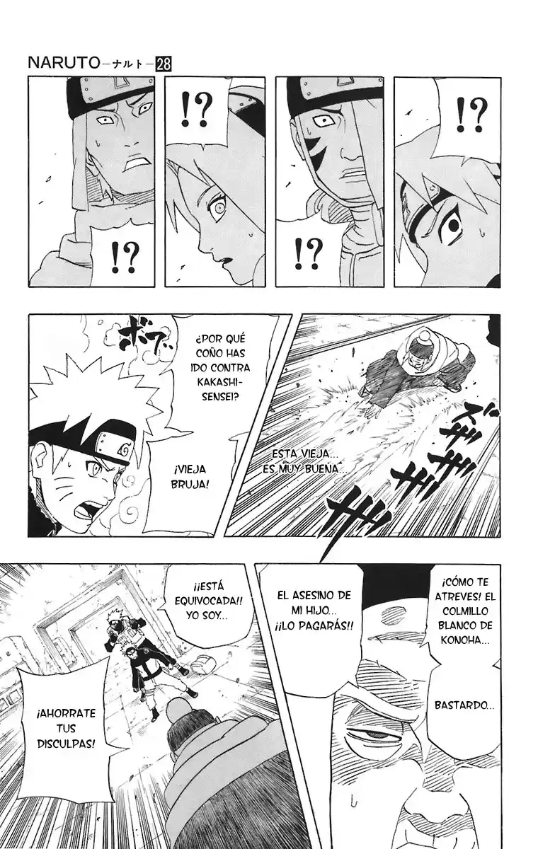 Naruto Capitulo 253 página 14