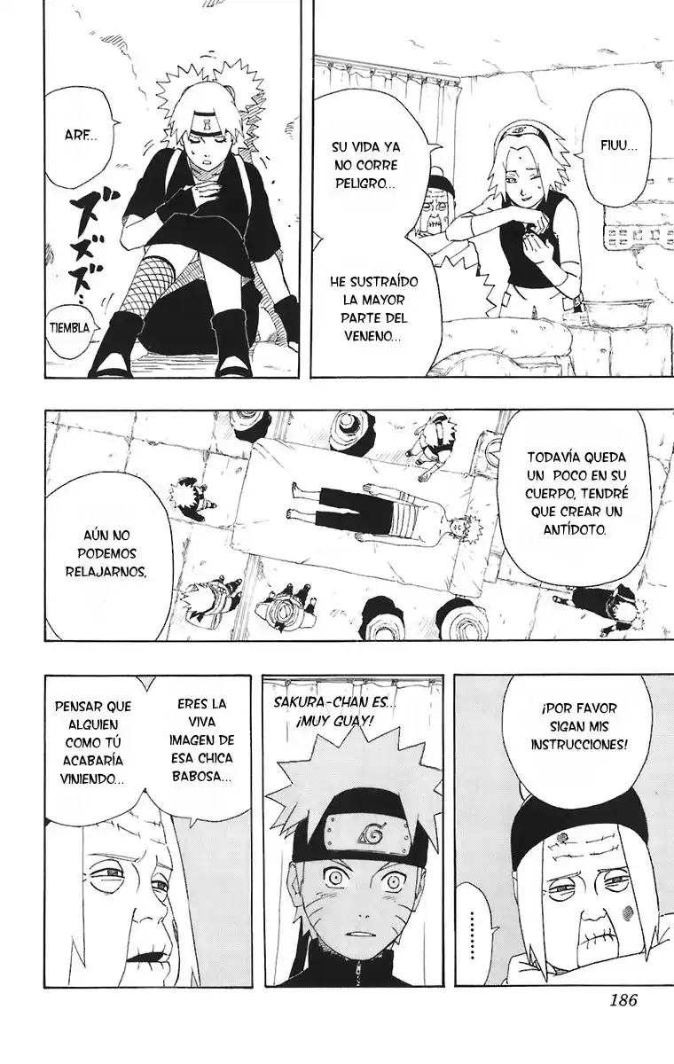 Naruto Capitulo 253 página 17