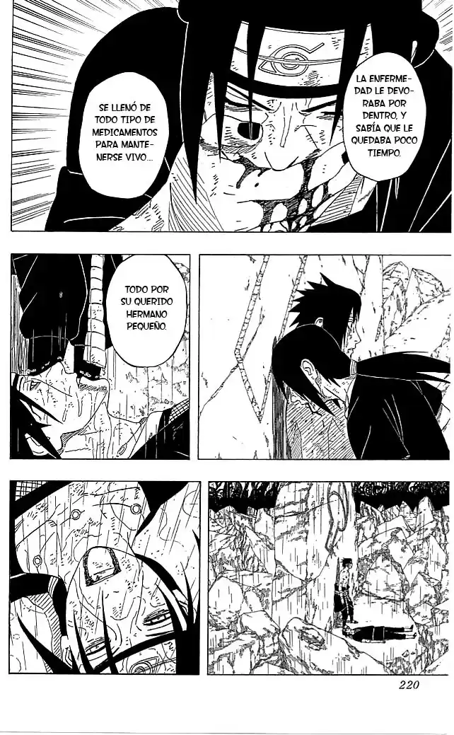 Naruto Capitulo 401 página 14