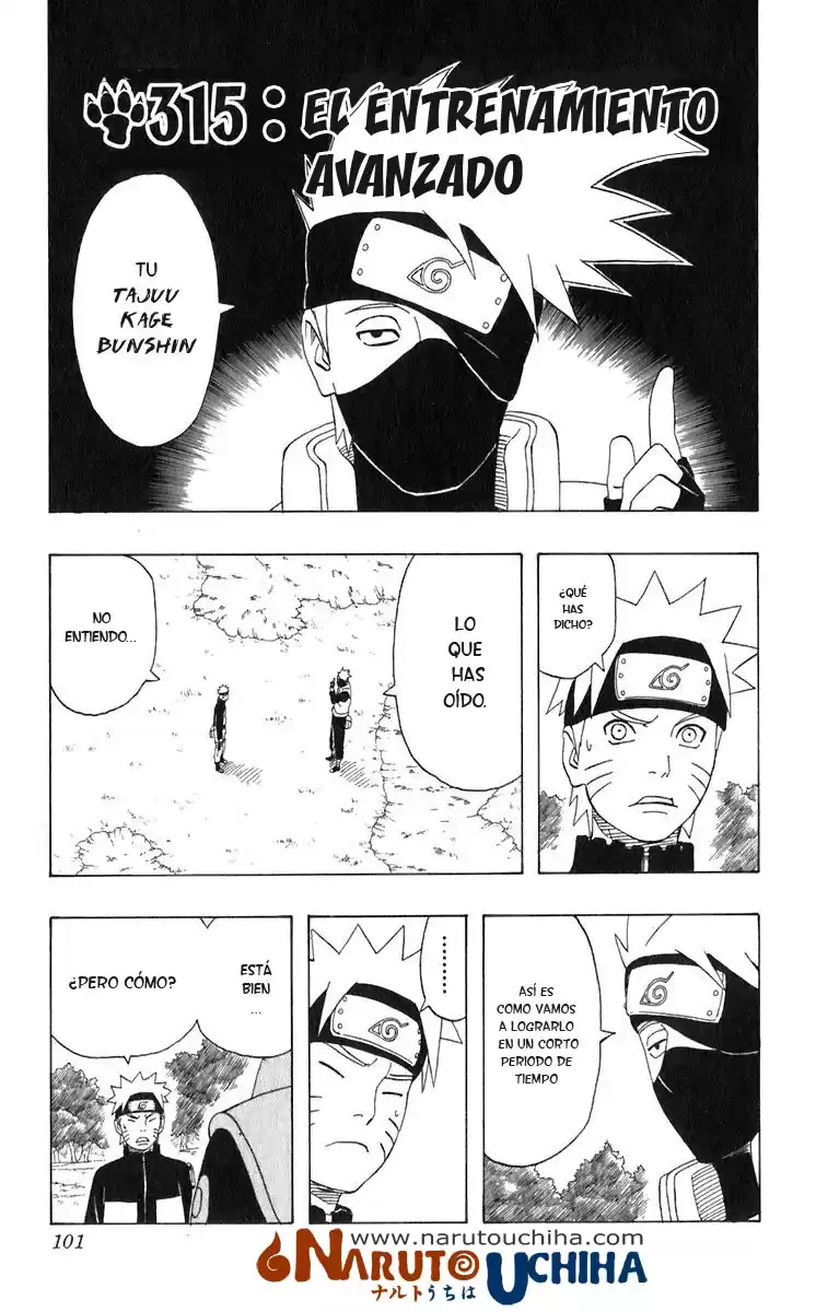 Naruto Capitulo 315 página 1