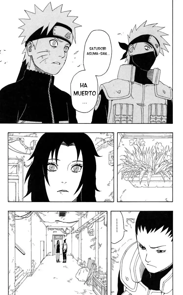 Naruto Capitulo 330 página 8