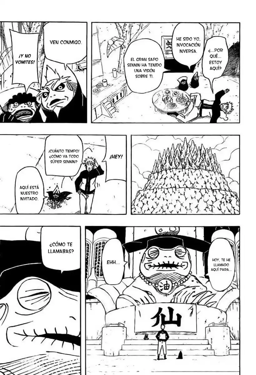 Naruto Capitulo 489 página 11