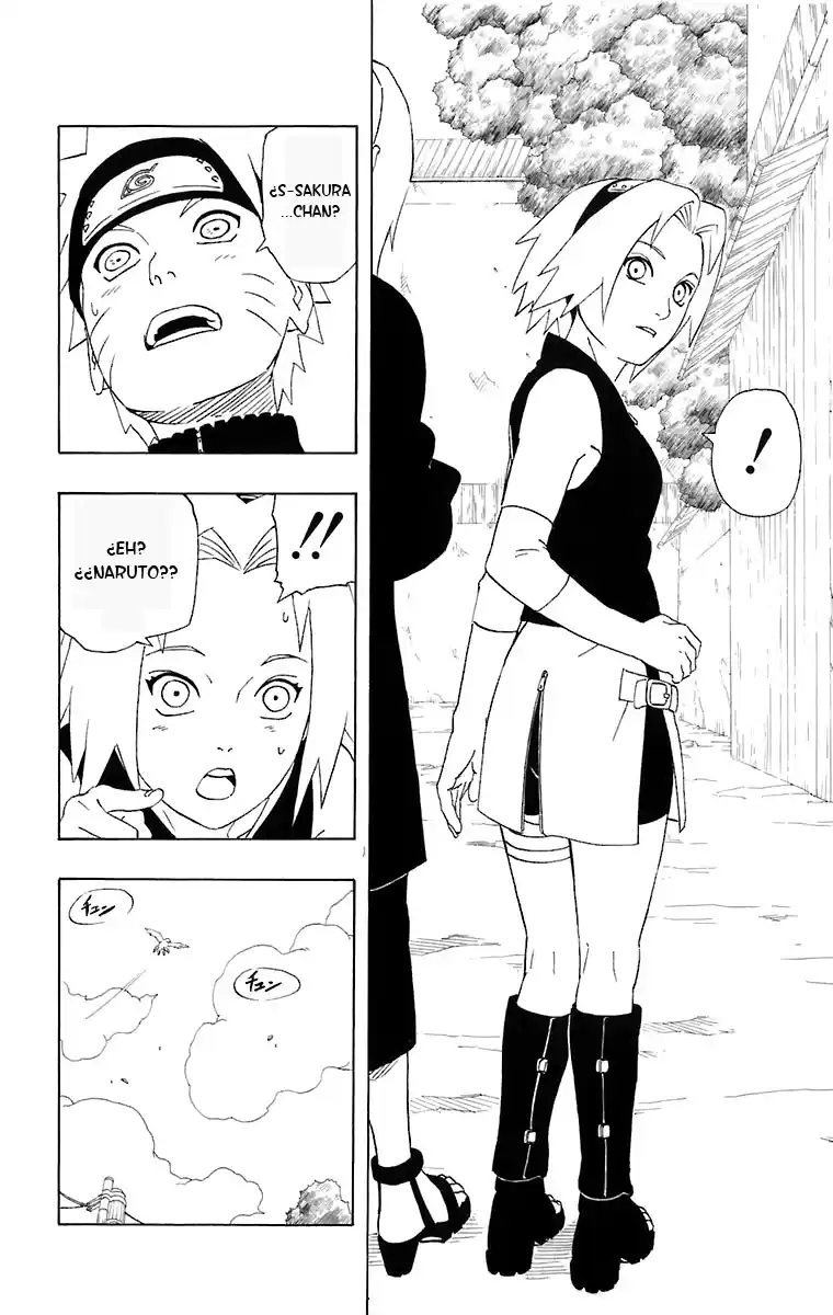 Naruto Capitulo 245 página 12