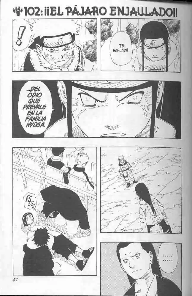 Naruto Capitulo 102 página 1