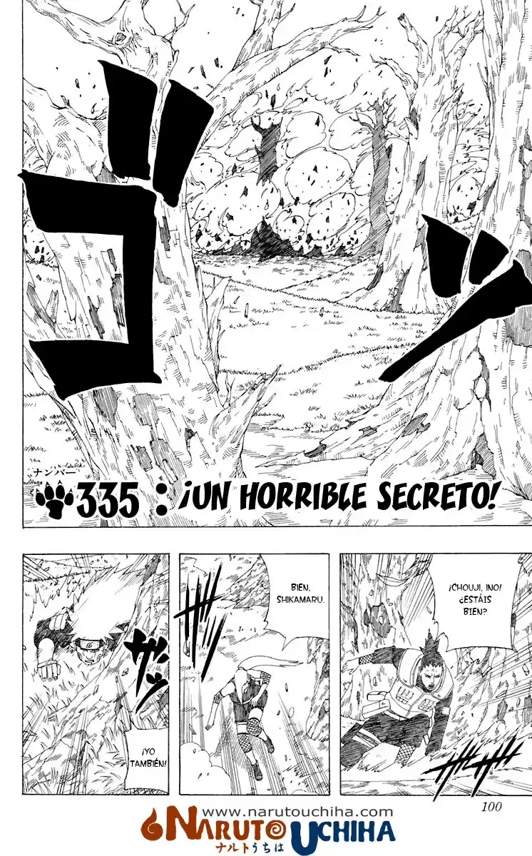 Naruto Capitulo 335 página 2