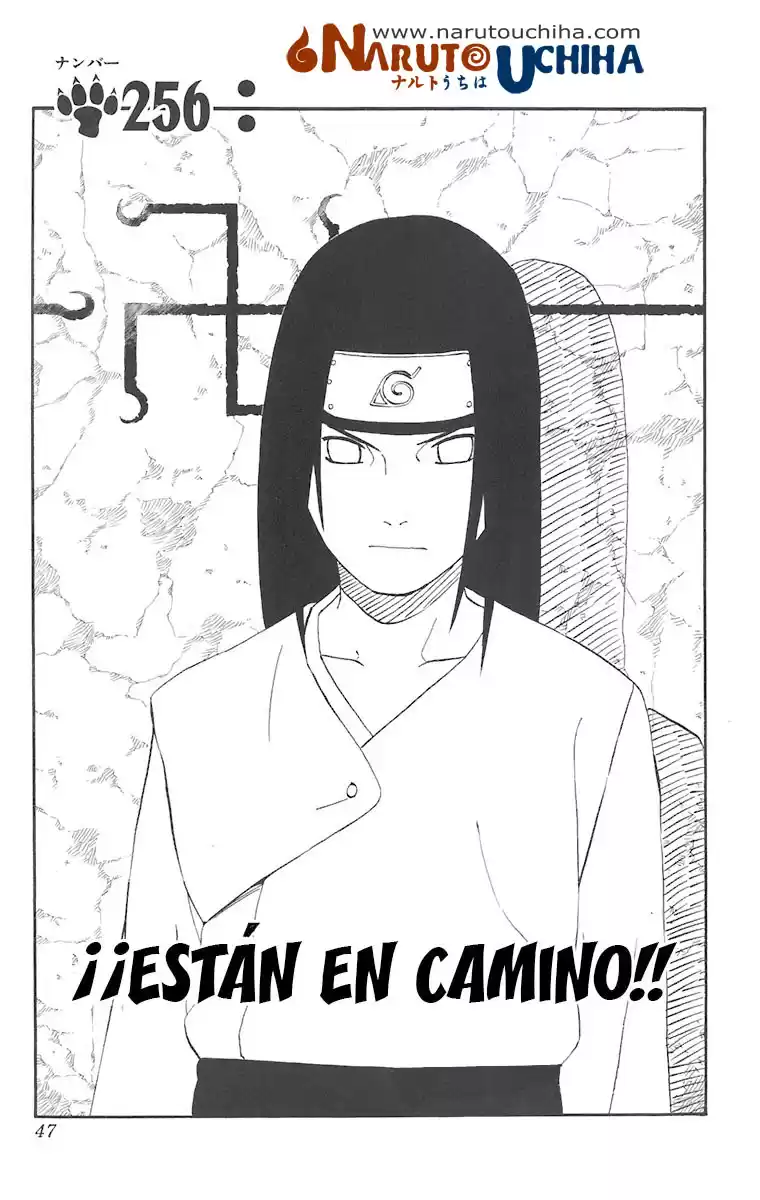 Naruto Capitulo 256 página 1