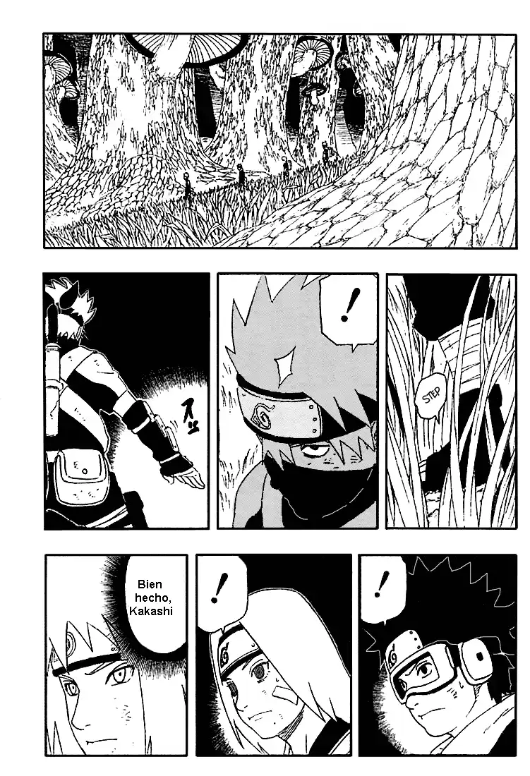 Naruto Capitulo 239 página 15