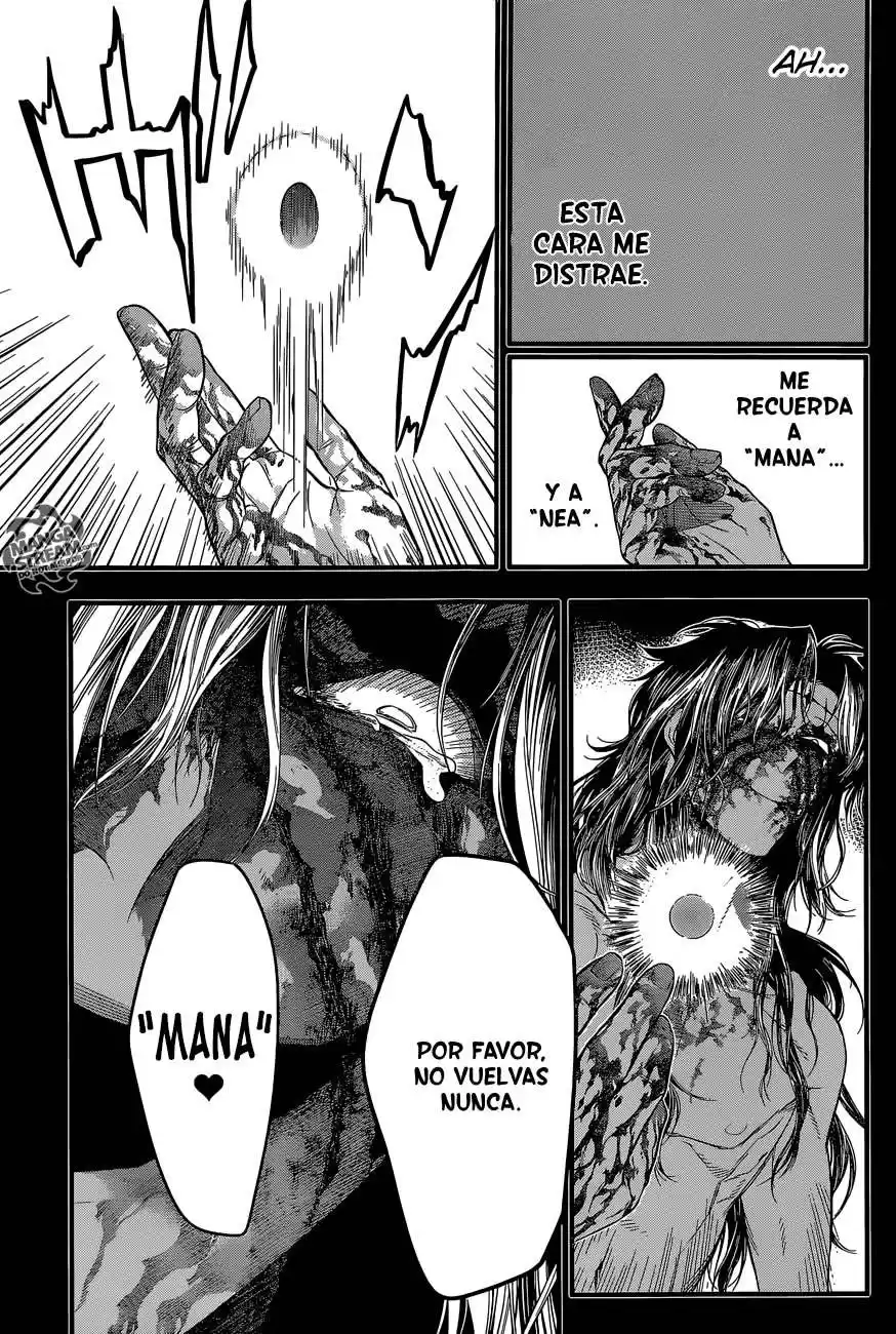 D Gray-man Capitulo 220 página 21