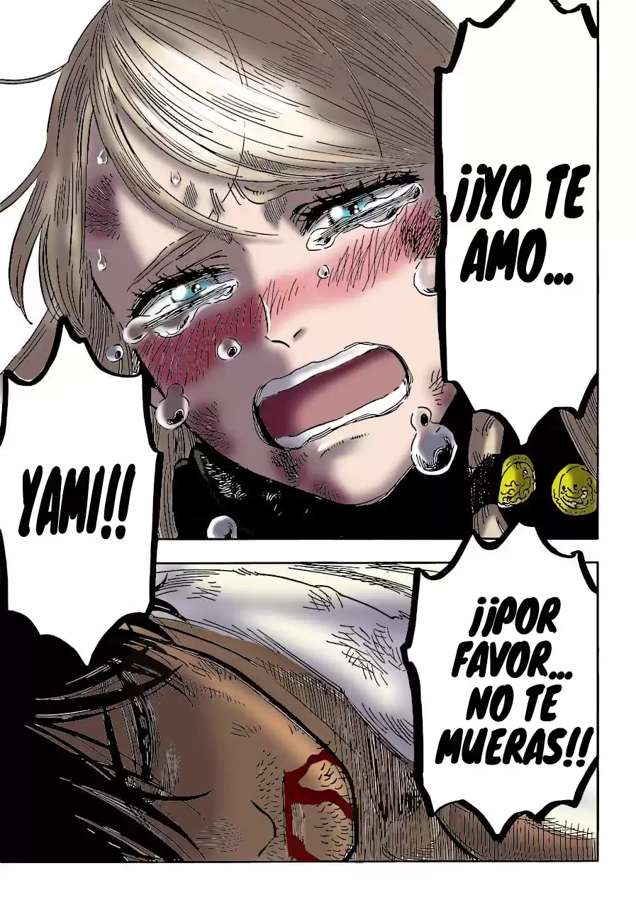 Black Clover Capitulo 330: Declaración a las sombras página 9