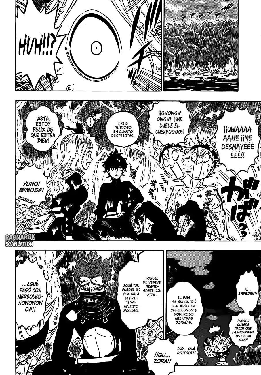 Black Clover Capitulo 157: ¿Destrucción o salvación de un reino? página 11