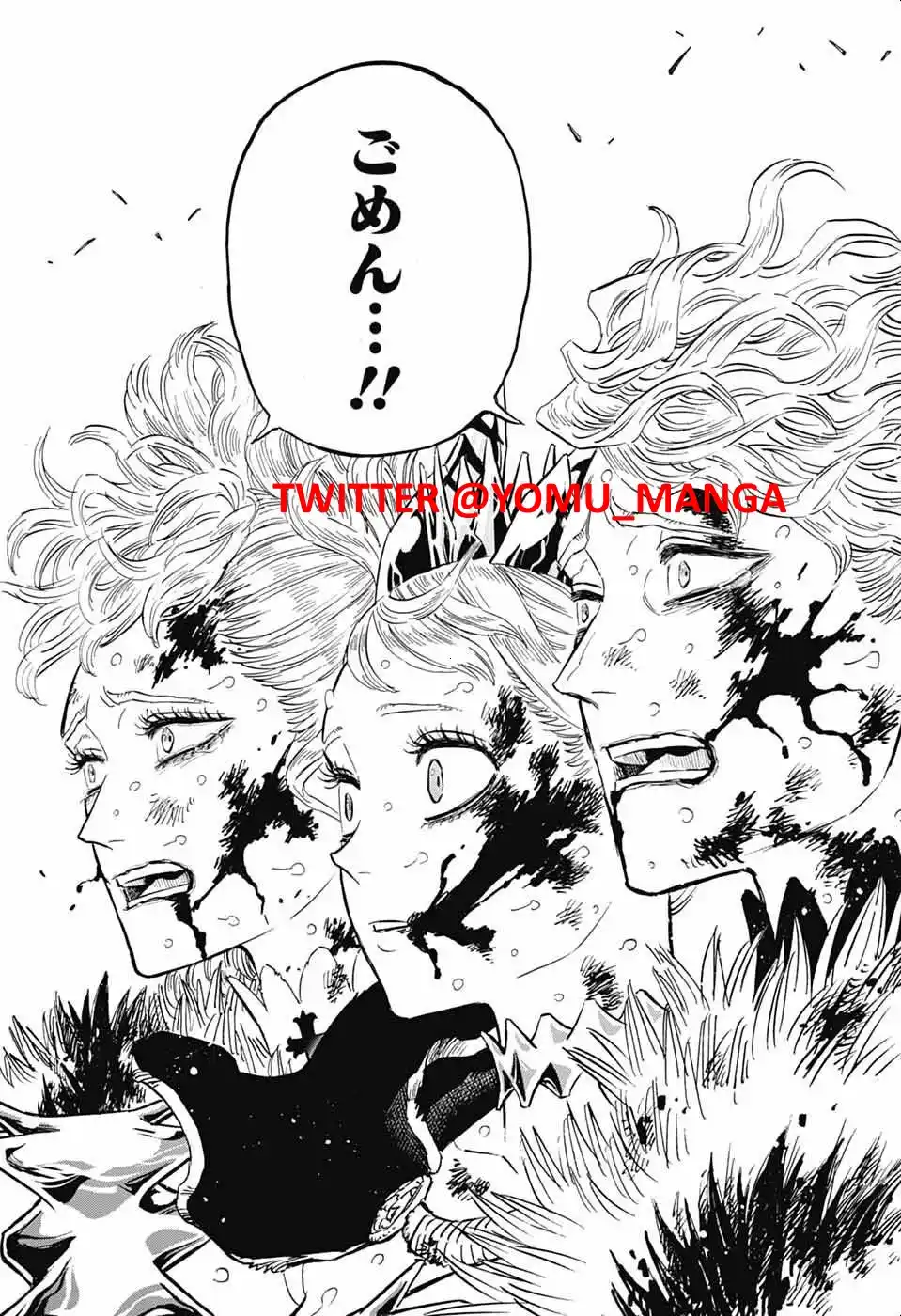 Black Clover Capitulo 373 página 17