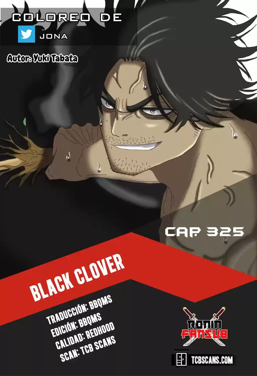 Black Clover Capitulo 325: Oscura noche estrellada página 1